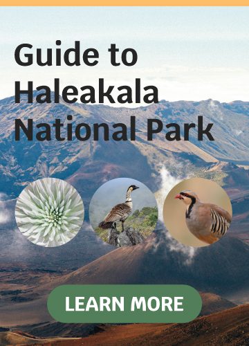 Guide to Halaekala National Park